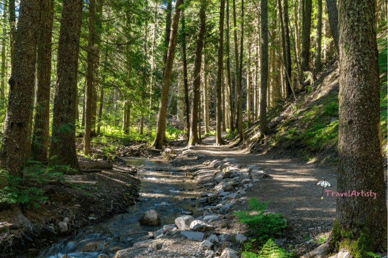 National Parks USA for Scenic Hiking