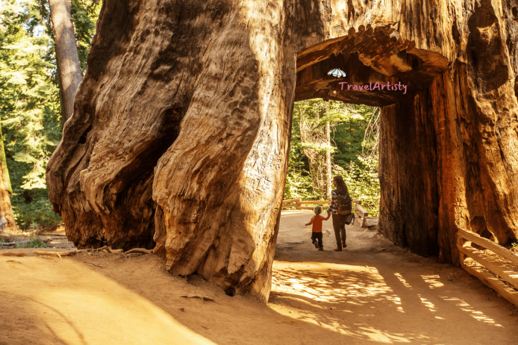 Yosemite National Park